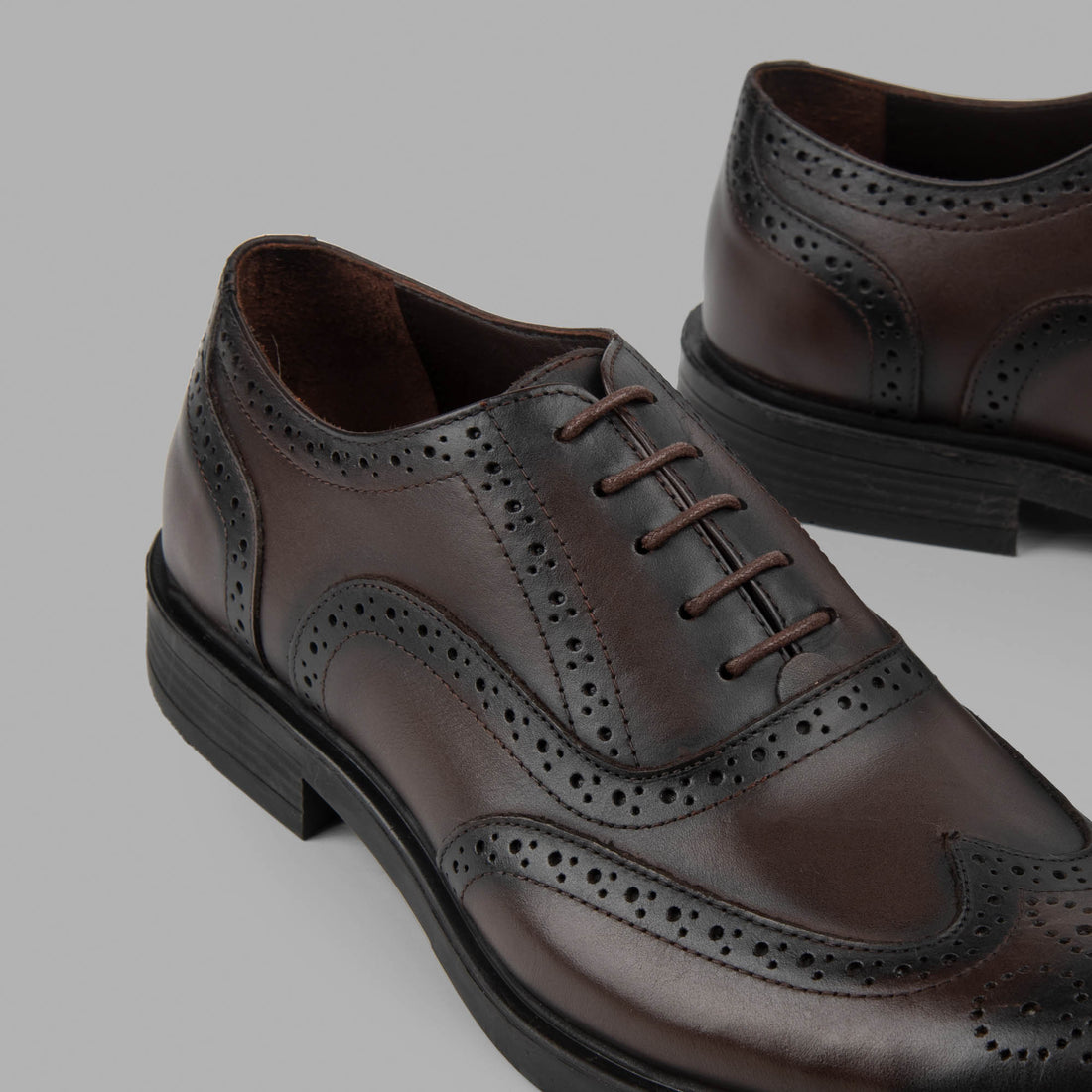 Oxford Brogue Shoes - Brown