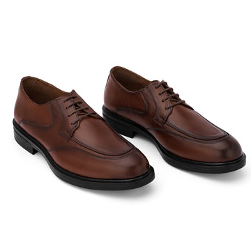 Brio Chestnut Derby Elegance - Havan