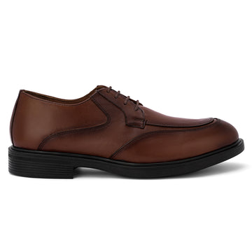 Brio Chestnut Derby Elegance - Havan