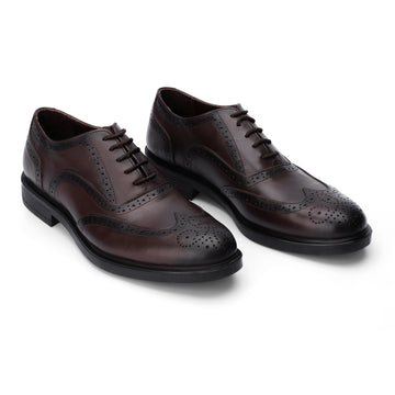 Oxford Brogue Shoes - Brown
