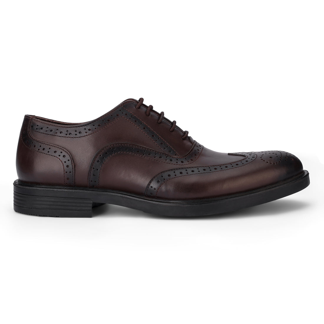 Oxford Brogue Shoes - Brown