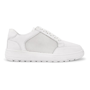 Ivory Mesh